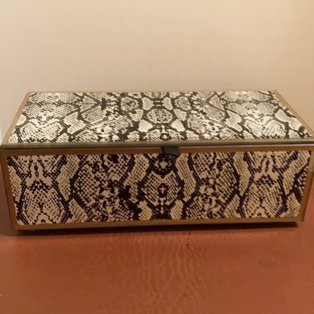 Adrienne Vittadini  python glass and brass trim trinket box